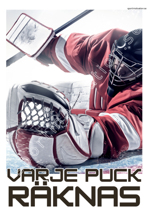 "Varje puck räknas" Hockey 08